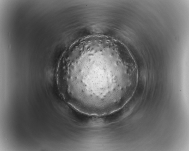 X0000089760271200706211549