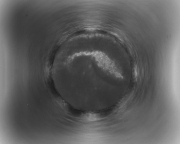 X0000089760276200706211549