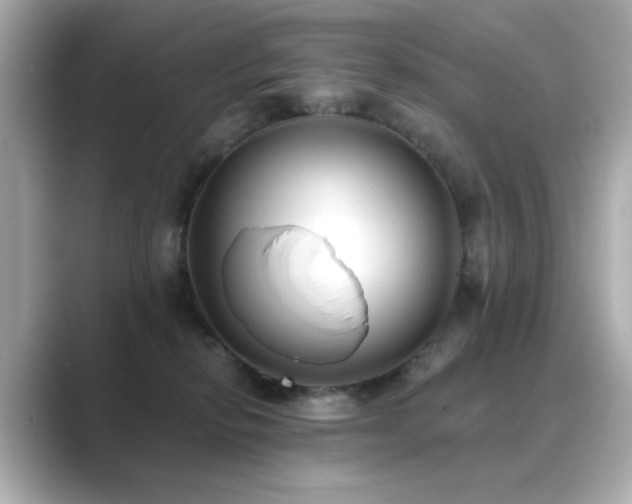 X0000089760278200706211549