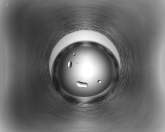 X0000089760280200706211549