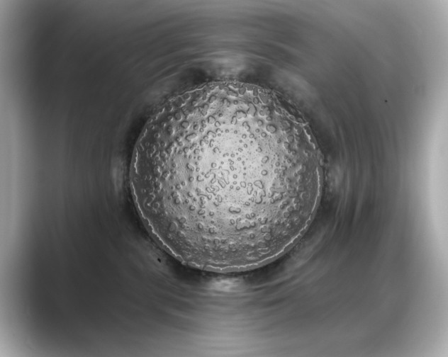 X0000089760283200706211549