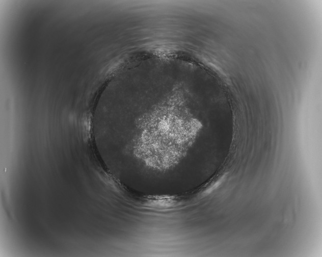 X0000089760288200706211549