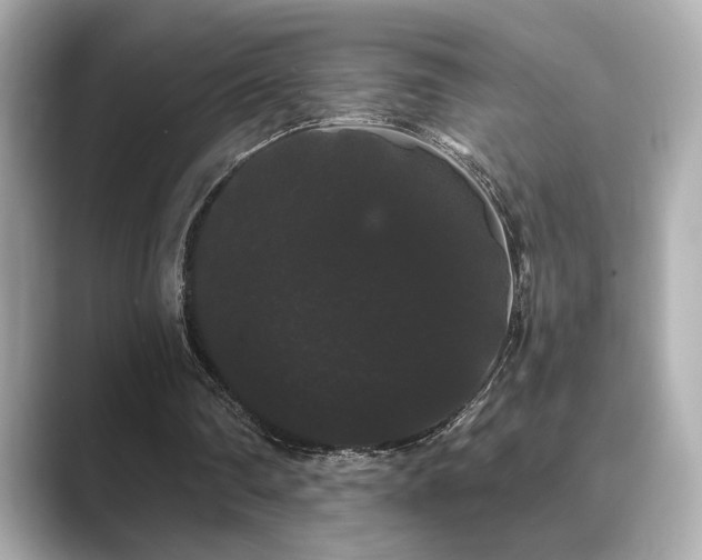 X0000089760290200706211548