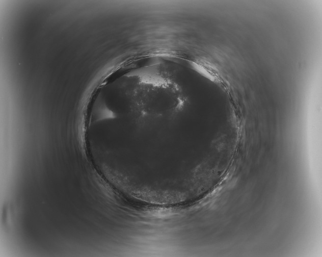 X0000089760293200706211548