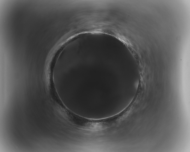 X0000089760295200706211548