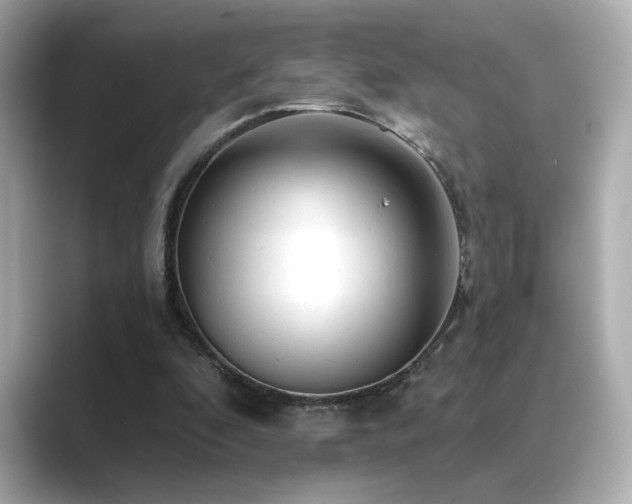 X0000089760296200706211548