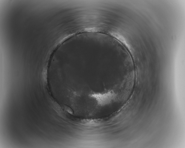 X0000089760297200706211548
