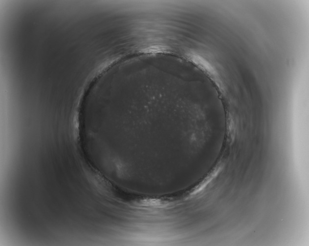 X0000089760298200706211548