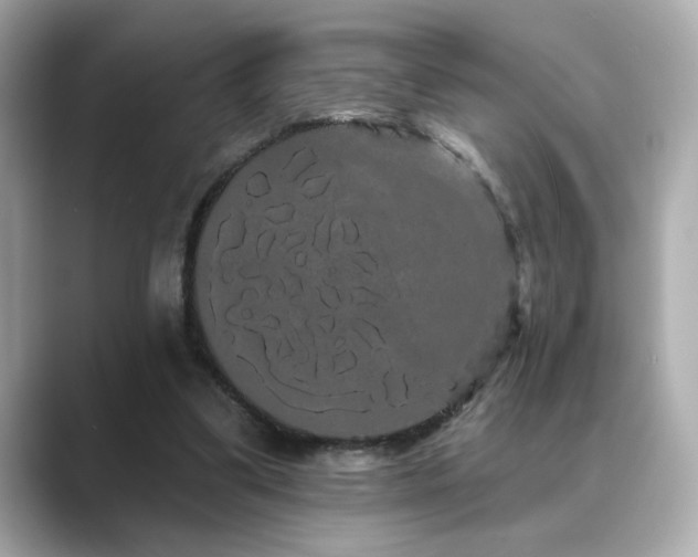 X0000089760299200706211548
