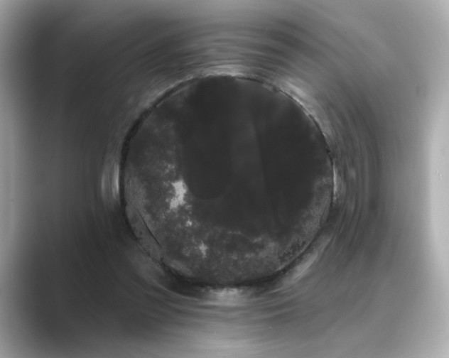 X0000089760301200706211548