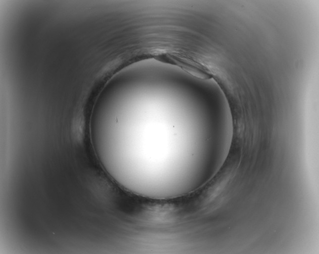 X0000089760304200706211548