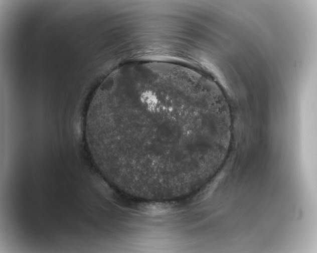 X0000089760305200706211548
