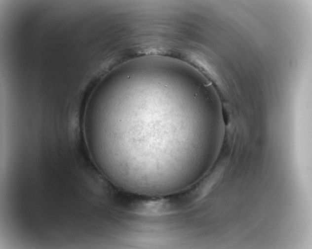X0000089760306200706211548