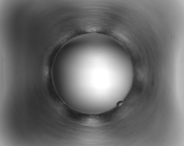 X0000089760308200706211548