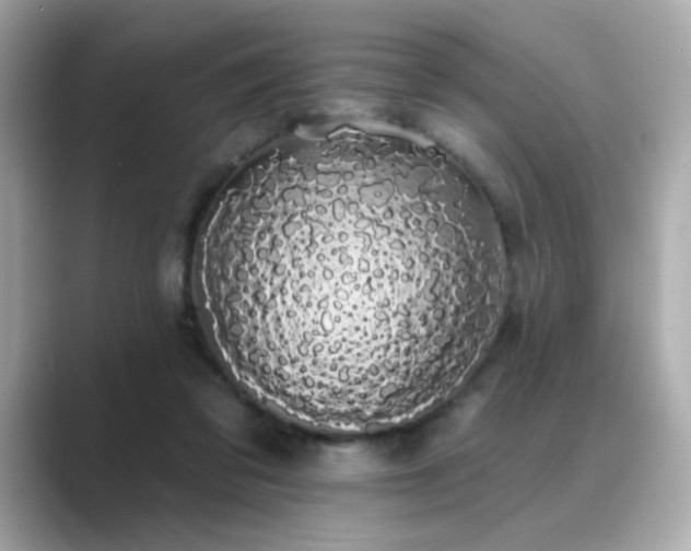 X0000089760309200706211548