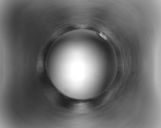 X0000089760312200706211548