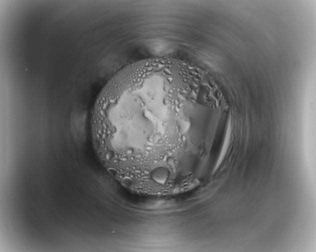 X0000089760319200706211548