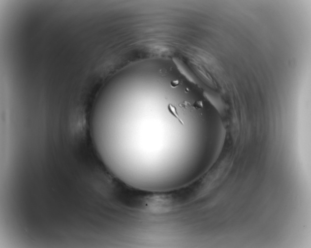 X0000089760320200706211548