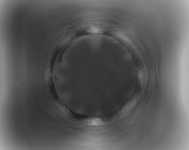 X0000089760322200706211548