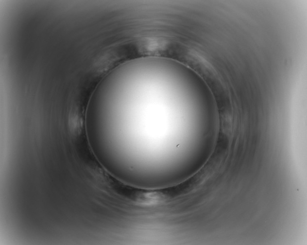 X0000089760324200706211548