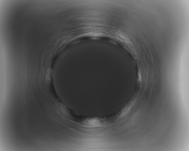 X0000089760325200706211548