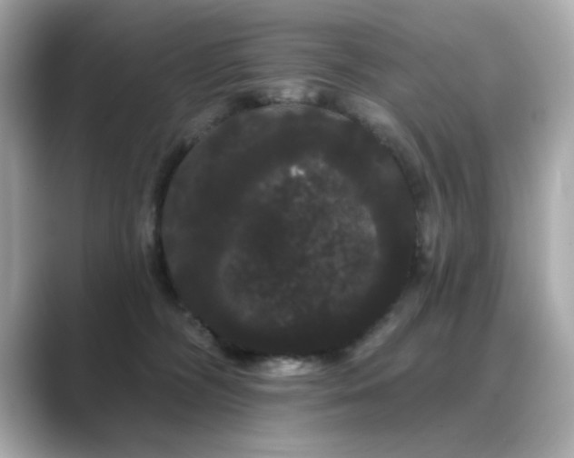 X0000089760326200706211548