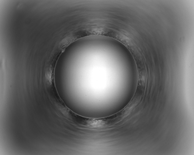 X0000089760334200706211548