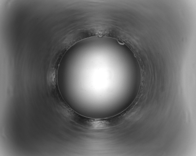 X0000089760336200706211548