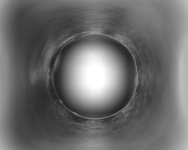 X0000089760338200706211547