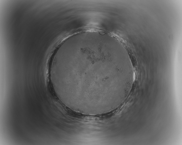 X0000089760339200706211547