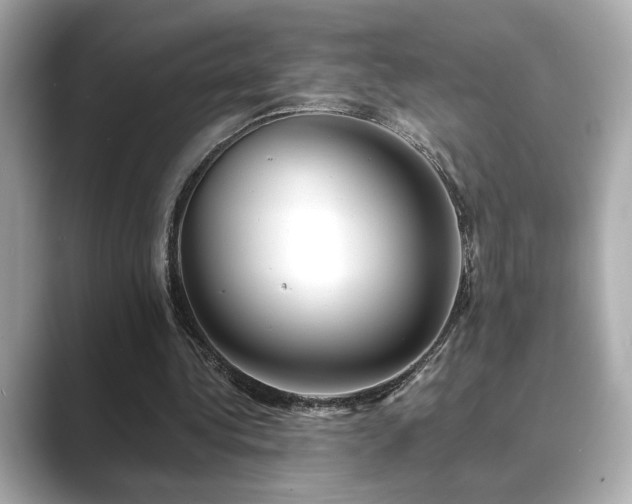 X0000089760340200706211547