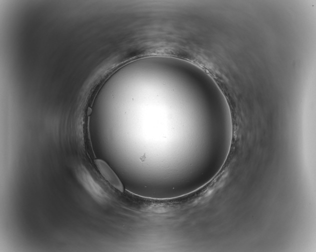 X0000089760341200706211547