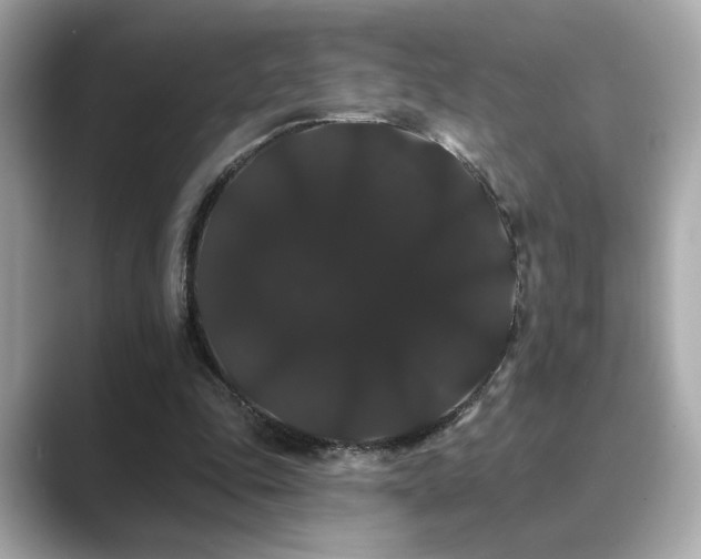X0000089760343200706211547