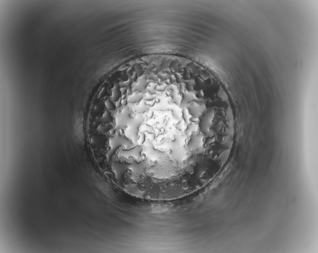 X0000089760345200706211547