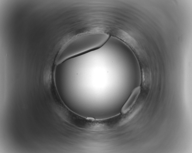 X0000089760348200706211547