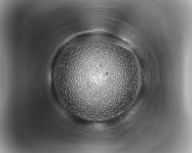 X0000089760350200706211547