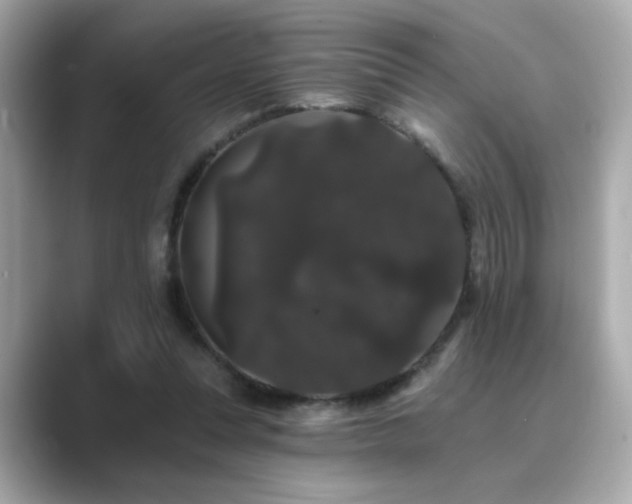 X0000089760351200706211547