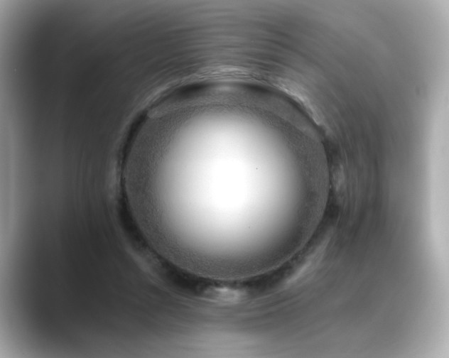 X0000089760352200706211547