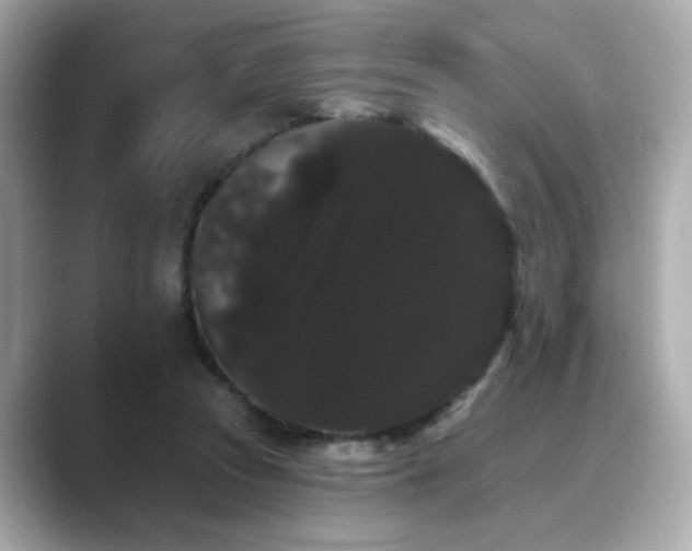 X0000089760353200706211547