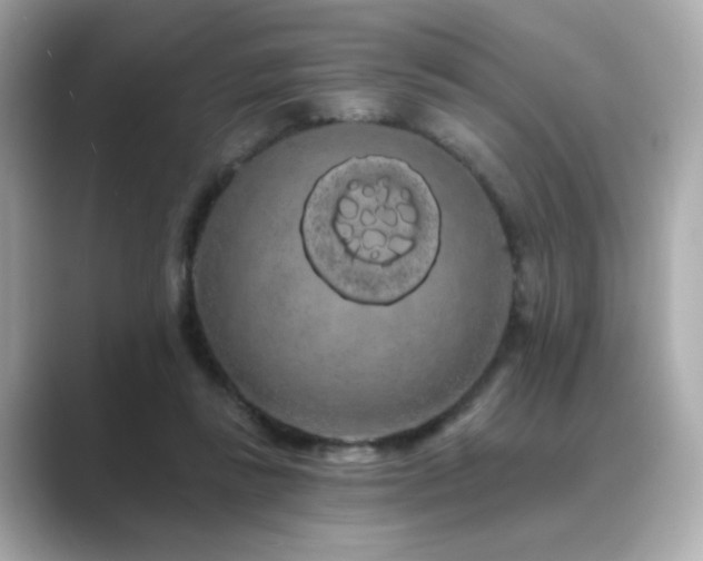 X0000089760355200706211547