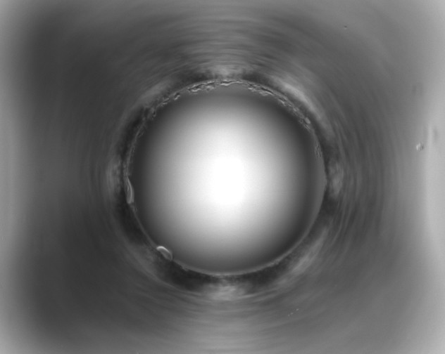 X0000089760356200706211547