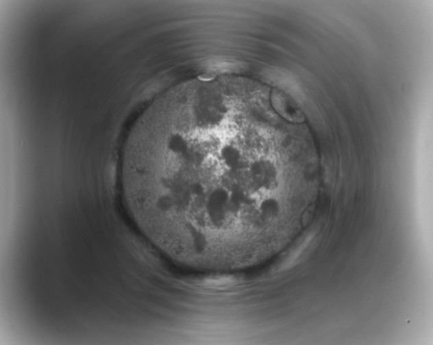 X0000089760357200706211547
