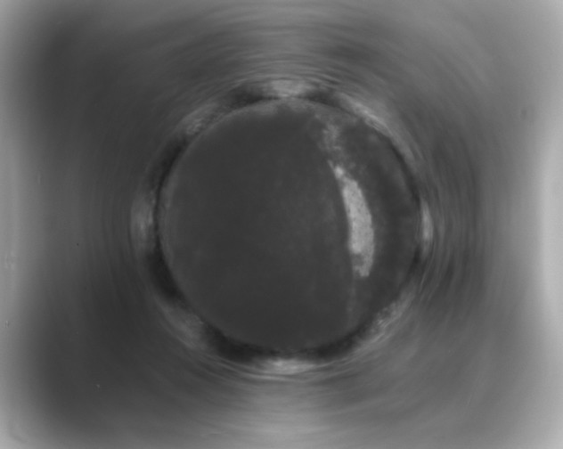 X0000089760360200706211547