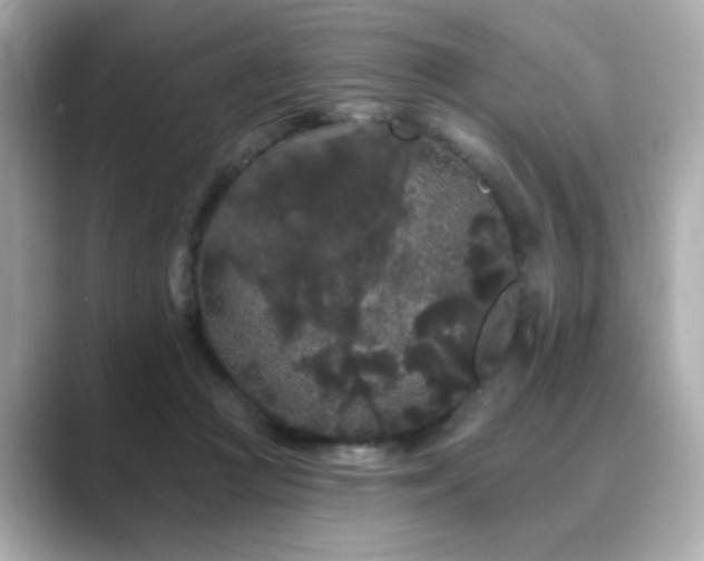 X0000089760361200706211547