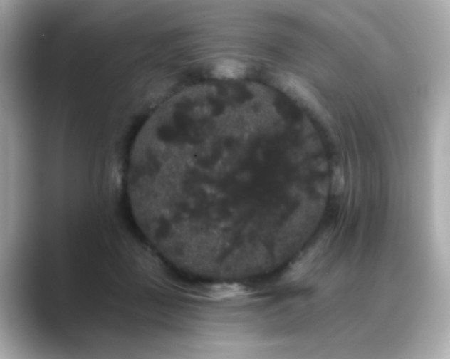 X0000089760363200706211547
