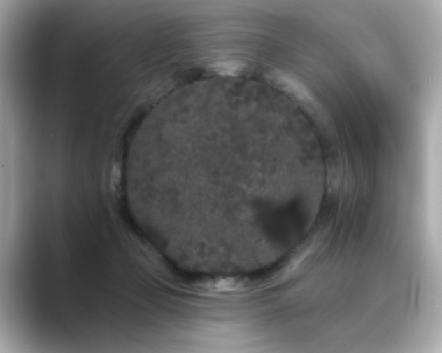 X0000089760365200706211547
