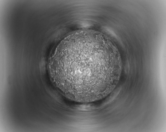 X0000089760366200706211548