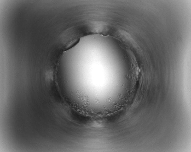 X0000089760368200706211548