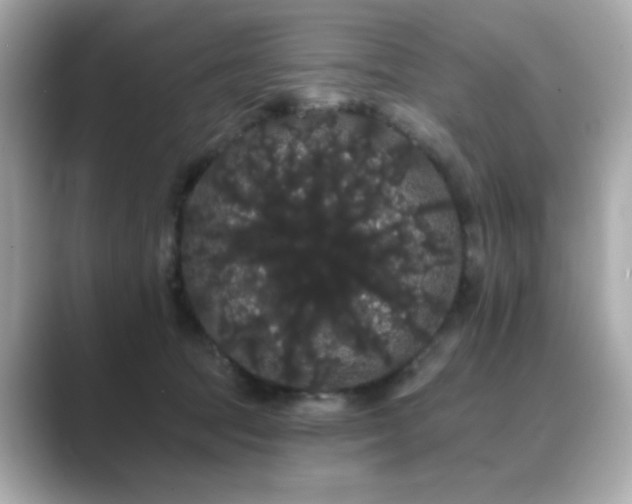 X0000089760369200706211548