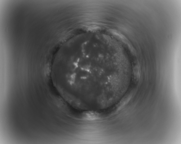 X0000089760372200706211548